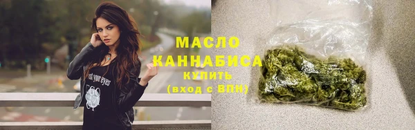 молекула духа Переславль-Залесский