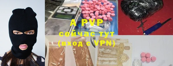 хмурый Абаза