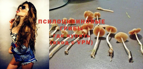 кристаллы Алзамай