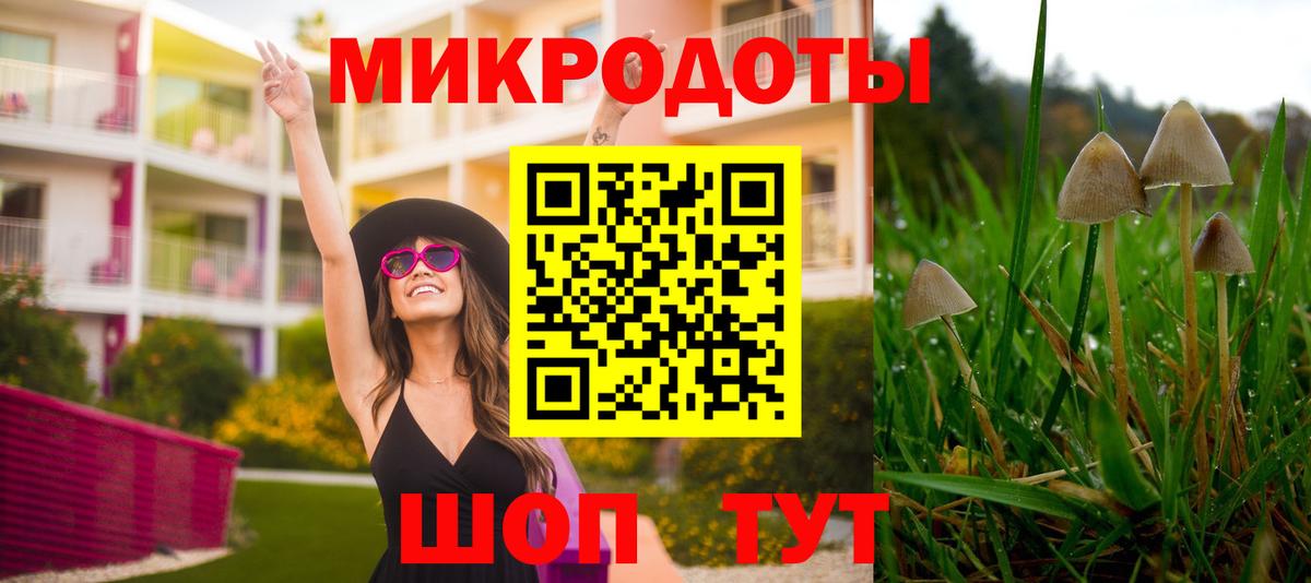 Тында  Псилоцибиновые грибы прущие грибы  Вход с VPN  Псилоцибиновые грибы прущие грибы 