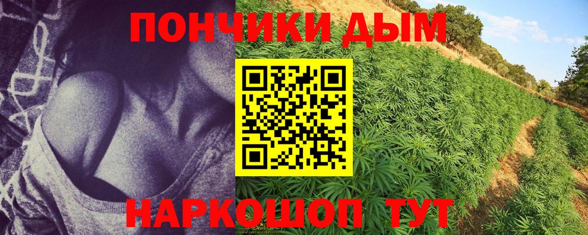 Каннабис гибрид Тында
